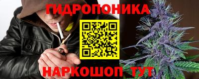 СК Заводоуковск