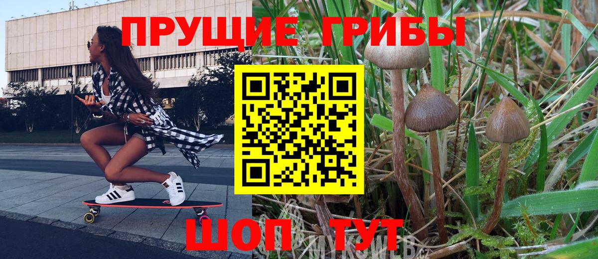 Галлюциногенные грибы MAGIC MUSHROOMS Красноярск